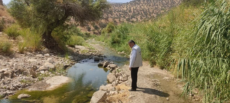 پایش و مراقبت آنفولانزای فوق حاد پرندگان توسط دامپزشکی رومشکان